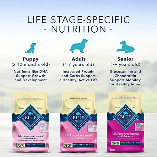 Blue Buffalo Life Protection Formula Adult Small Breed Dry Dog Food, Supports High Energy Needs, Made with Natural Ingredients, Chicken & Brown Rice Recipe, 15-lb Bag