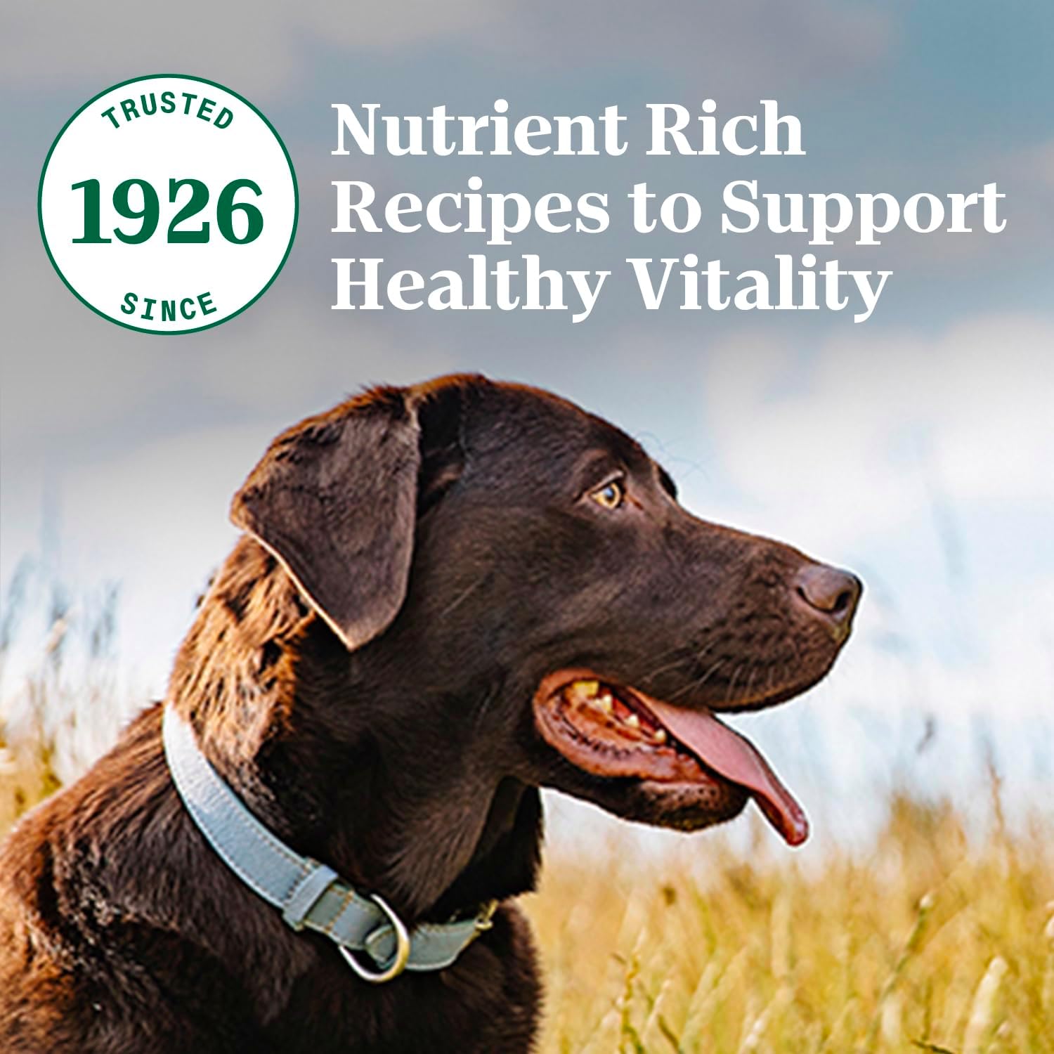 Nutro Natural Choice Adult Healthy Weight Dry Dog Food, Chicken and Brown Rice, 30 lbs.