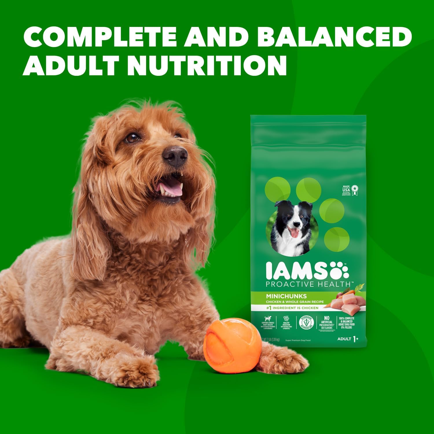 IAMS Proactive Health Minichunks Adult Dry Dog Food with Real Chicken and Whole Grains, 7 lb. Bag