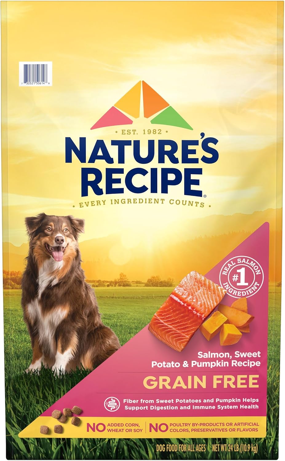 Nature’s Recipe Grain Free Salmon, Sweet Potato & Pumpkin Recipe Dry Dog Food, 24 lb. Bag